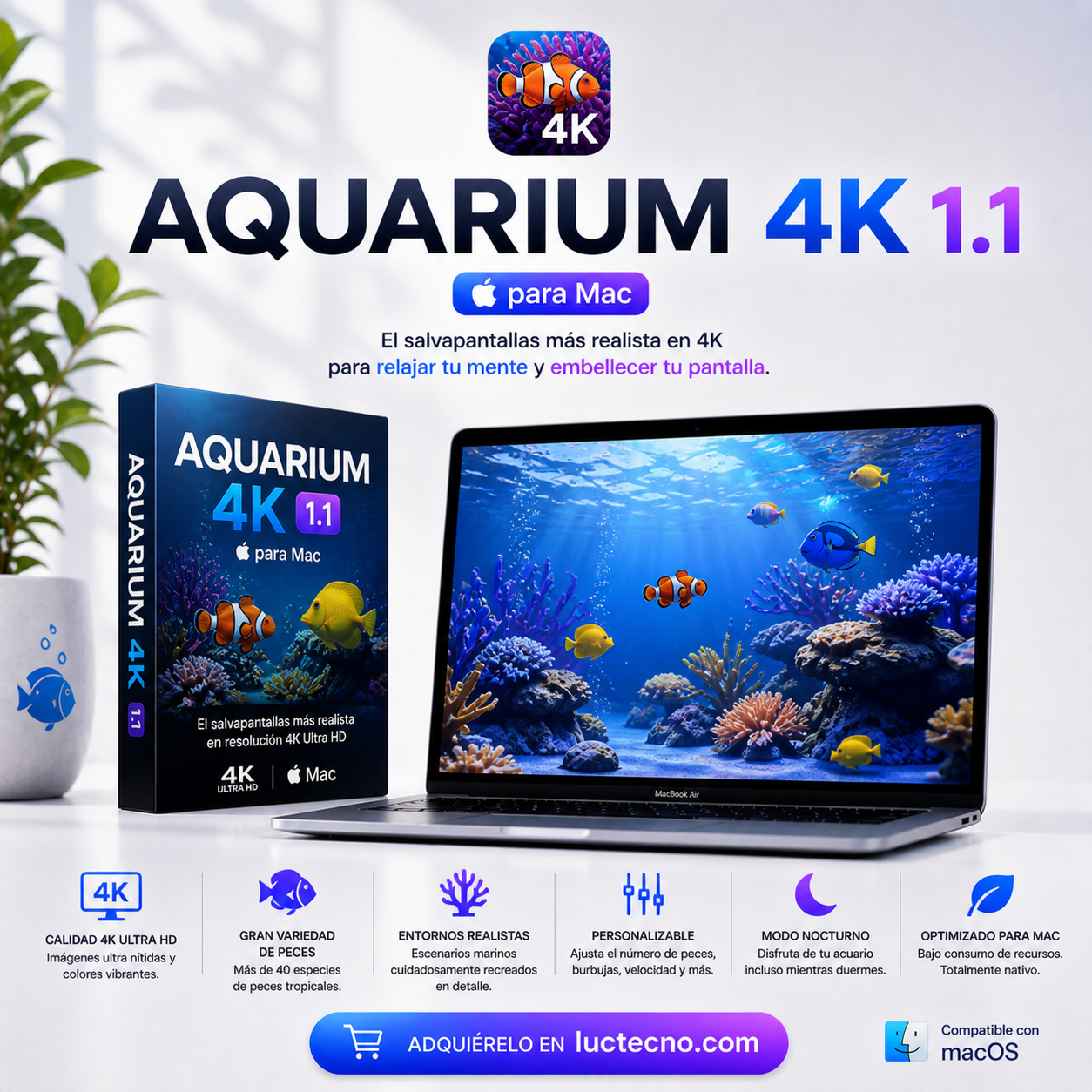 Aquarium 4K 1.1 (Mac) | 1 Equipo | Permanente