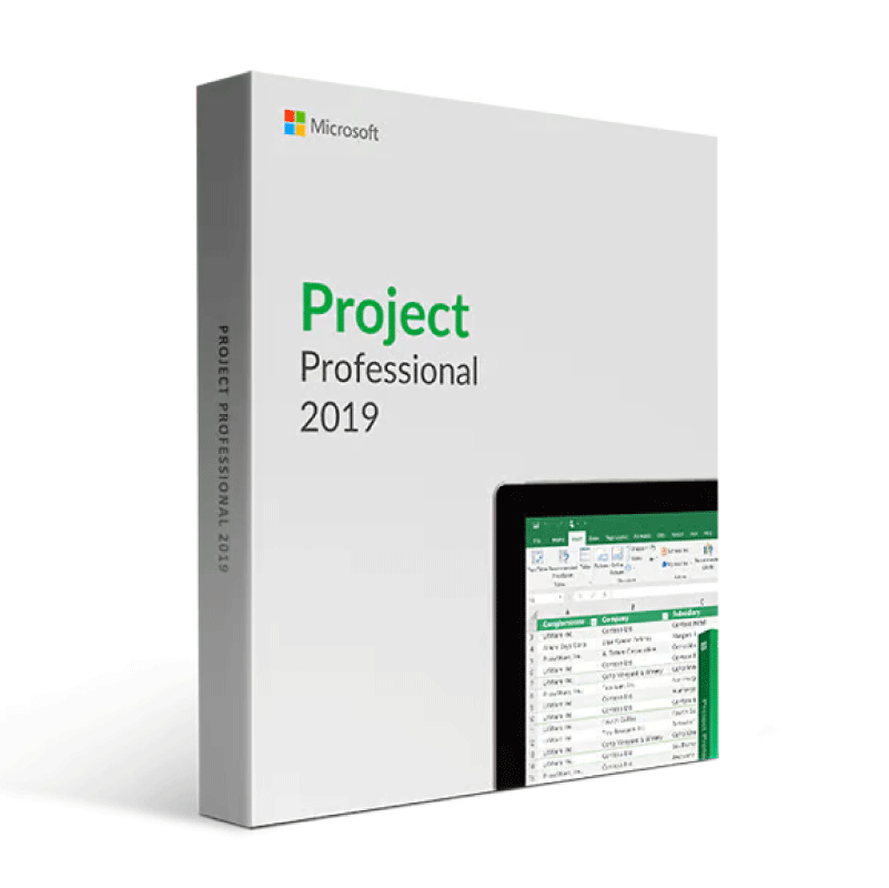 Microsoft Project 2019 | 1 Equipo | Reinstalable | Permanente