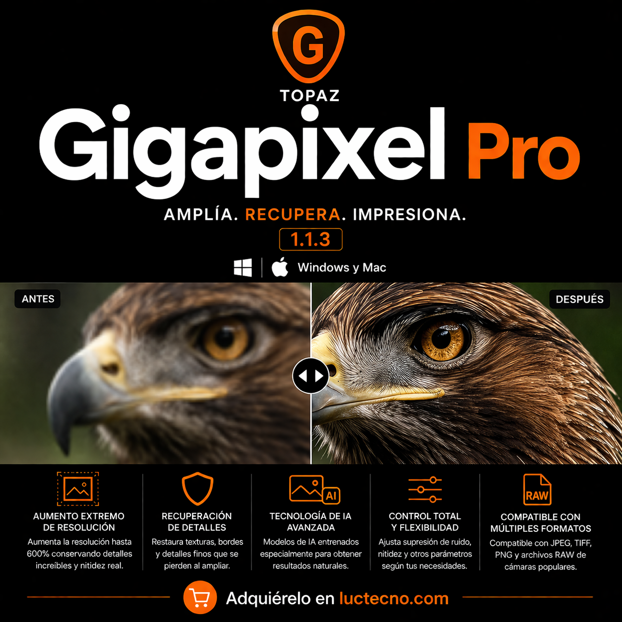 Topaz Gigapixel Pro 1.1.3 (Windows / Mac) | 1 Equipo | Permanente