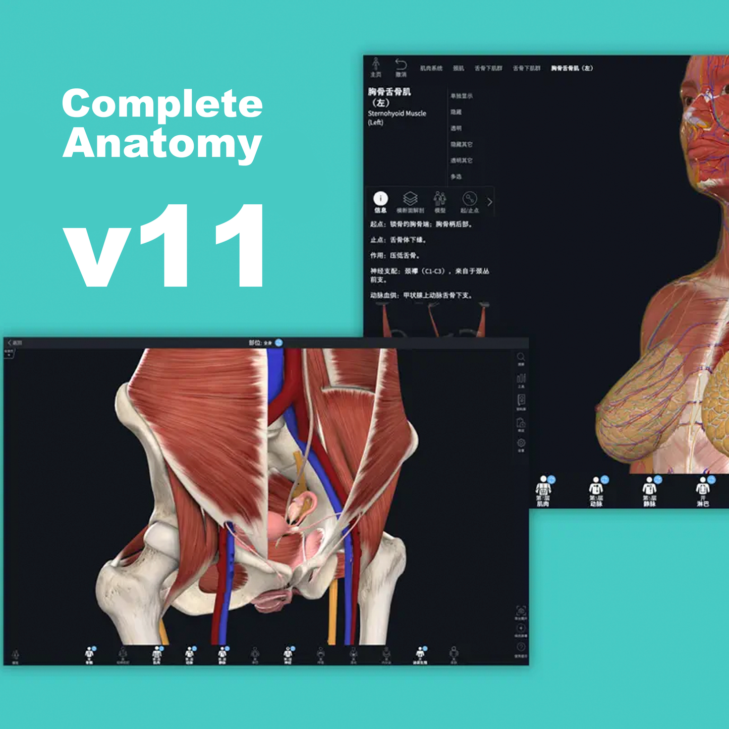 Complete Anatomy 11.0 (Mac) | 1 Equipo | Permanente