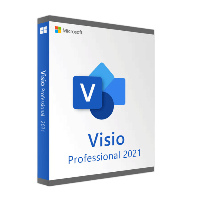 Microsoft Visio 2021 (Windows) 1 Equipo | Reinstalable | Permanente