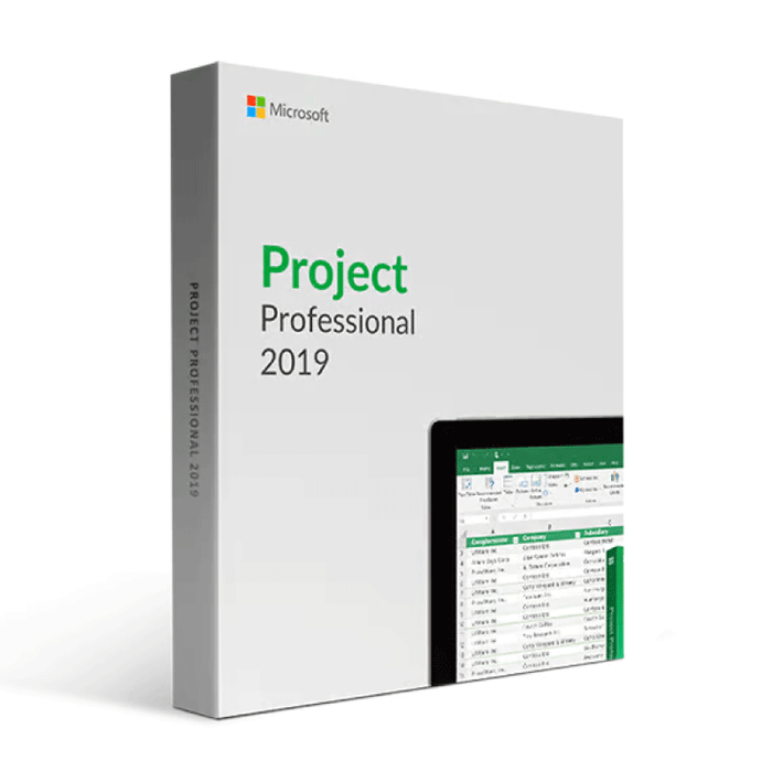 Microsoft Project 2019 (Windows) 1 Equipo | Reinstalable | Permanente